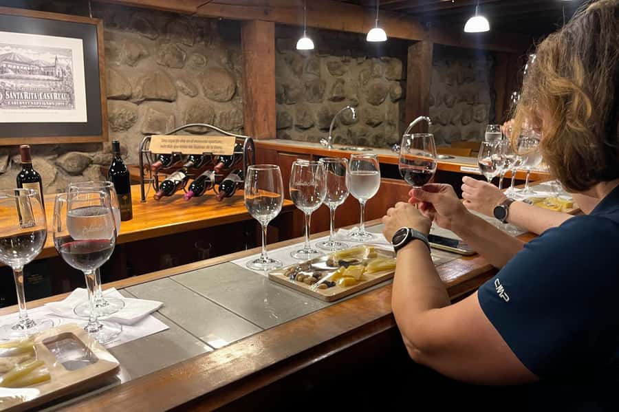 Santa Rita Vineyard Tour with Lunch, an Unforgettable Day! - What the three-wine tasting adds to the visit