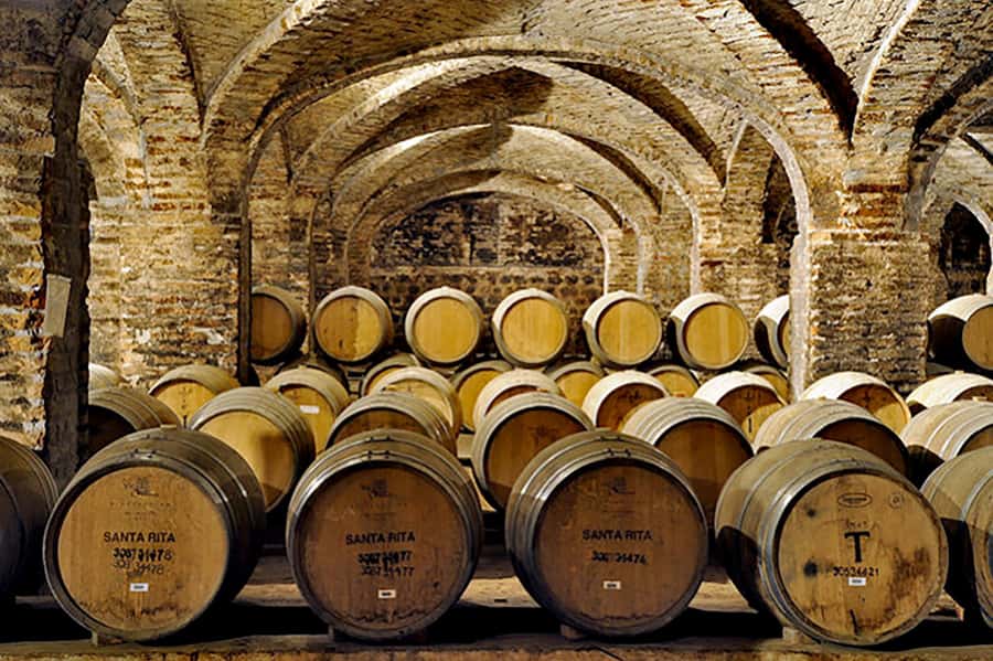 Santa Rita Vineyard Tour with Lunch, an Unforgettable Day! - How the schedule works in practice