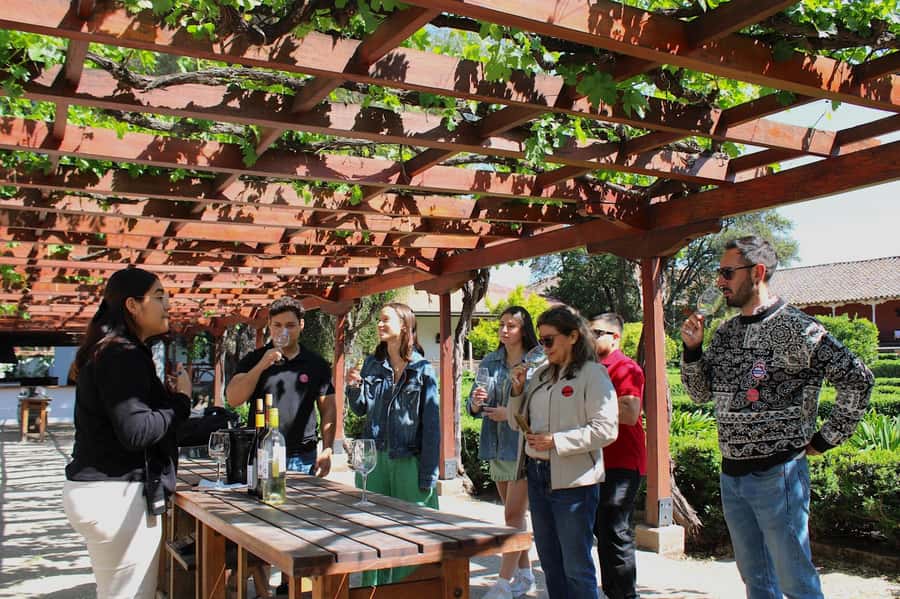 Santa Rita Vineyard Tour with Lunch, an Unforgettable Day! - Starting in Santiago and reaching the Maipo Valley