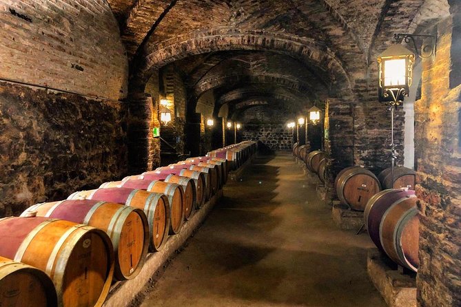 Santa Rita Winery Selection Tour - The Andean Museum and the property beyond wine