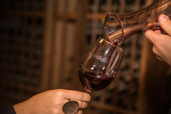 Santa Rita Winery Selection Tour - Walking through the vineyards and varietal garden