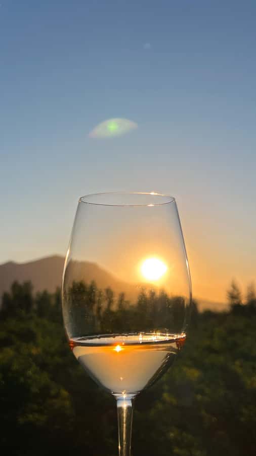 Santiago: Alyan Winery Sunset with Wine Tastings and Dinner - Should You Book Alyan Sunset?