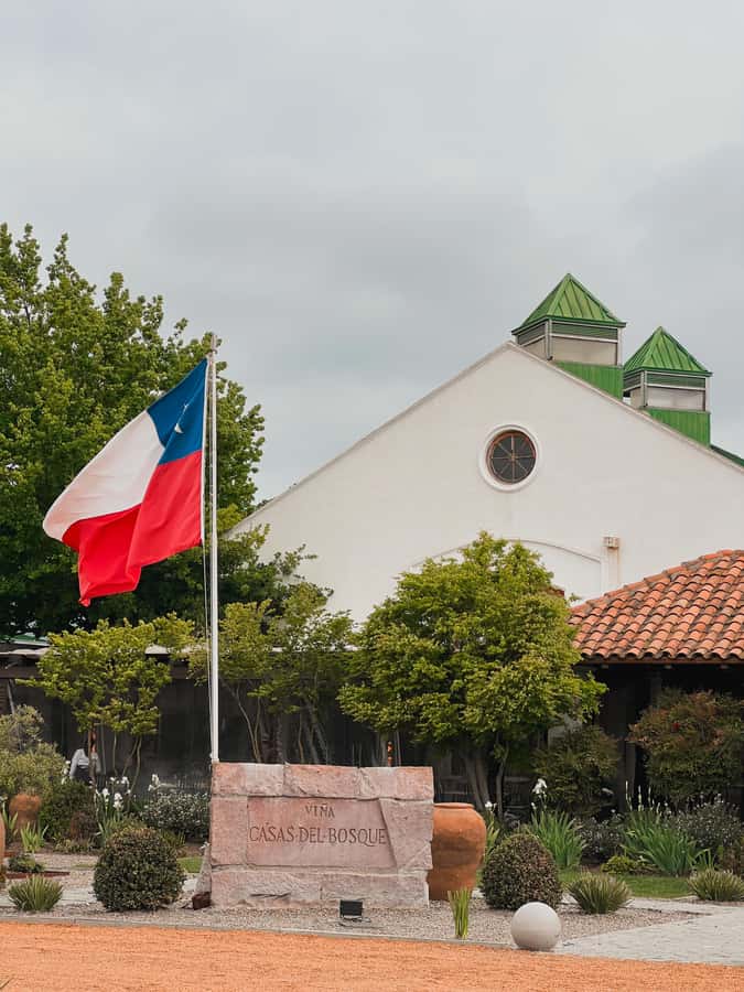 Santiago: Casa del Bosque Winery with Tasting and Lunch - Key points to know before booking