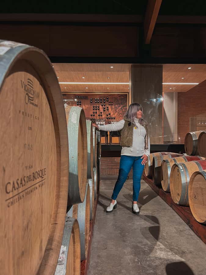 Santiago: Casa del Bosque Winery with Tasting and Lunch - Should you book Casa del Bosque with Tanino?
