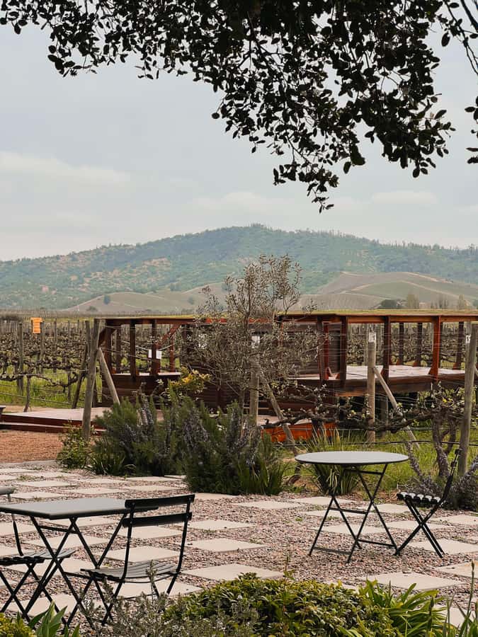 Santiago: Casa del Bosque Winery with Tasting and Lunch - Walking through Casa del Bosque
