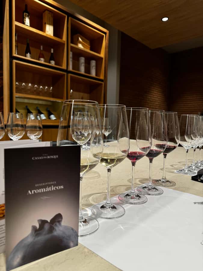 Santiago: Casa del Bosque Winery with Tasting and Lunch - Practical ways to get more from the day