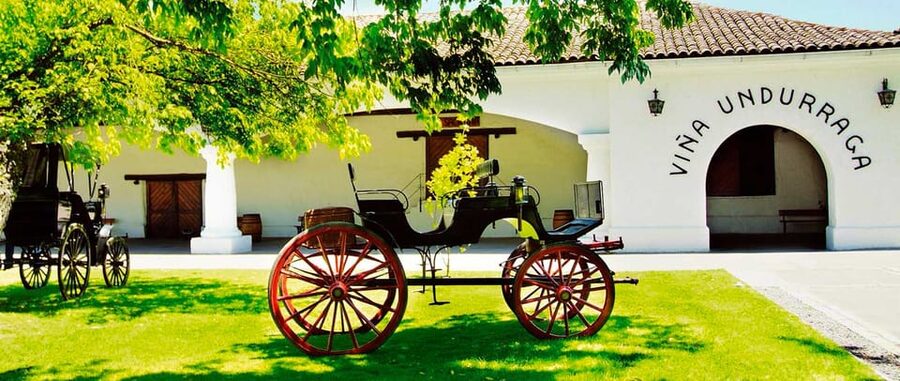 Santiago: Concha y Toro and Undurraga Vineyards Tour - My booking advice