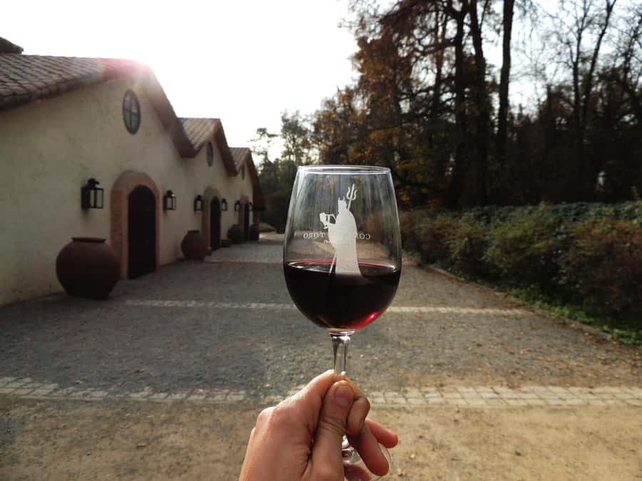 Santiago: Concha y Toro and Undurraga Vineyards Tour - The long middle break for lunch