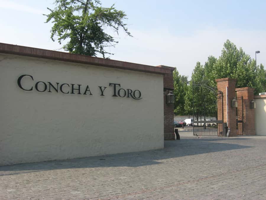 Santiago: Concha y Toro and Undurraga Vineyards Tour - Transport, guides, and group size