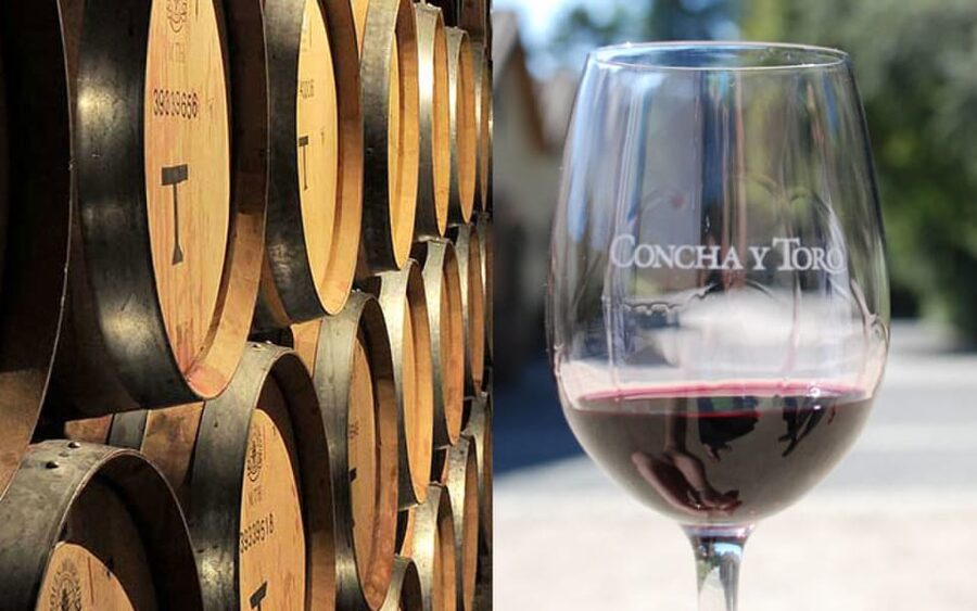 Santiago: Concha y Toro Vineyard Tour w/ Transfer & Tasting - What the guide and language setup is like