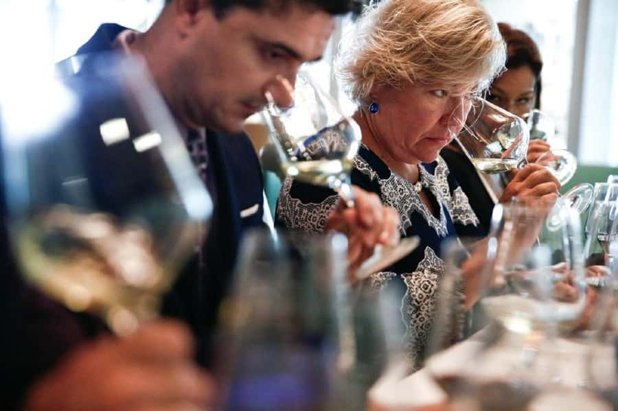 Santiago: Concha y Toro Winery 4–Hour Tour & Sommelier Class - From Santiago streets to Concha y Toro’s country estate