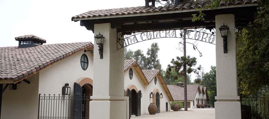 Santiago: Concha y Toro Winery 4–Hour Tour & Sommelier Class - The sommelier class and four premium wines