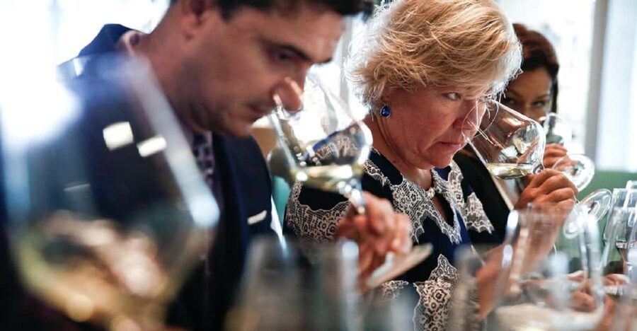 Santiago: Concha y Toro Winery 4–Hour Tour & Sommelier Class - Who will enjoy this winery visit most?