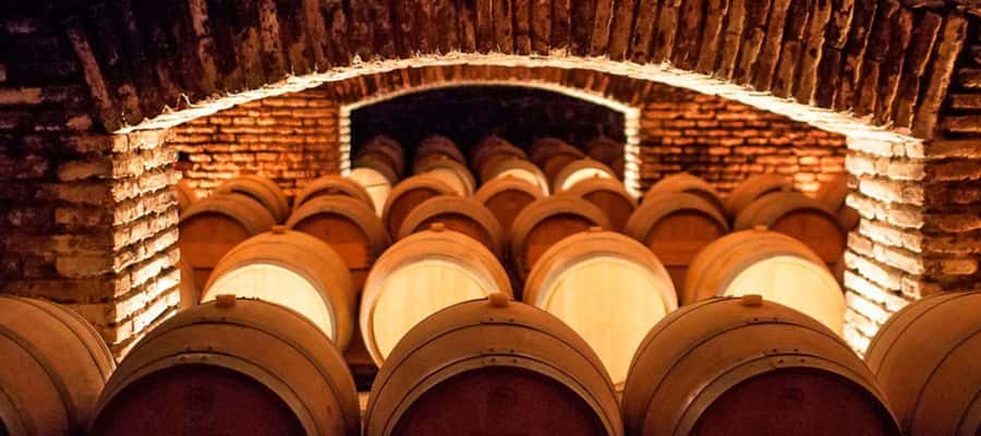 Santiago: Concha y Toro Winery 4–Hour Tour & Sommelier Class - Old Pirque and the Maipo Valley view