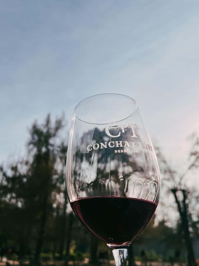 Santiago: Concha y Toro with transfer, tasting & gift cup - The 40-minute ride from Santiago