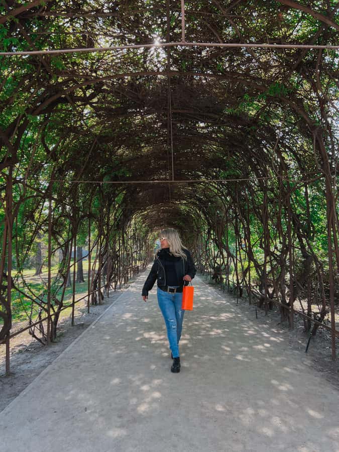 Santiago: Concha y Toro with transfer, tasting & gift cup - Walking through the family gardens