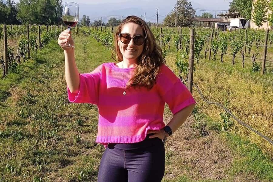 Santiago: Cousiño Macul Vineyard Premium Tasting Tour - Why Cousiño Macul makes sense from Santiago