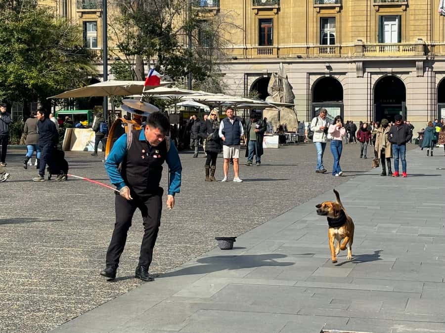 Santiago Half-Day Walking Tour with Hotel Pick up & Brunch - Why the van matters in a spread-out Santiago
