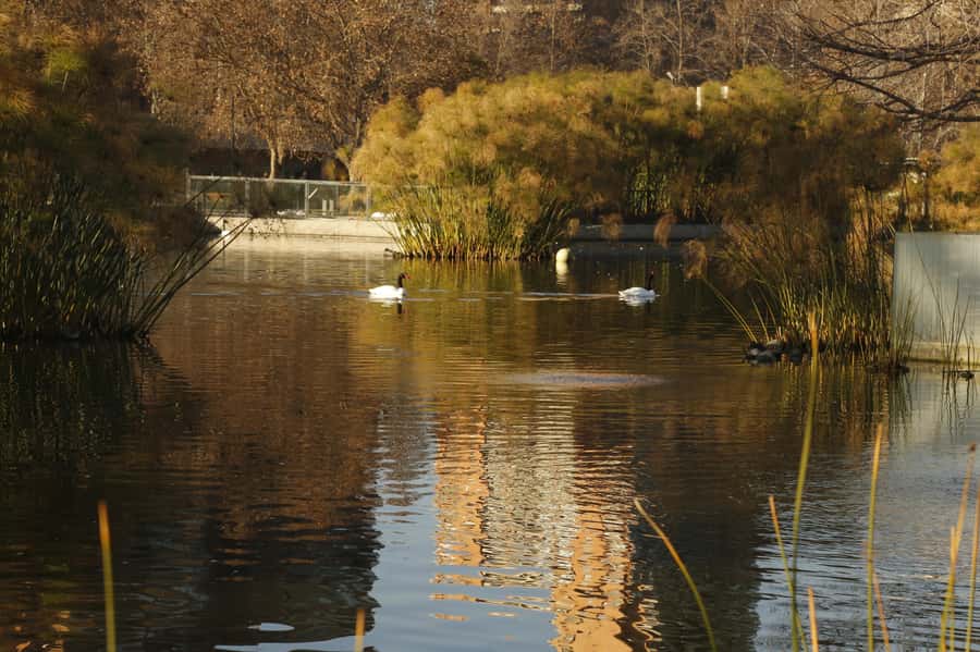 Santiago Half-Day Walking Tour with Hotel Pick up & Brunch - Small groups and a flexible afternoon finish