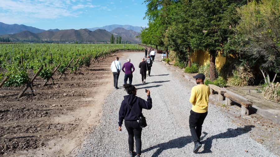 Santiago: Inca Lagoon Tour with Local Vineyard and Tasting - Ventisquero Guardia Vieja and the llama stop