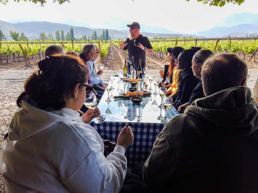 Santiago: Inca Lagoon Tour with Local Vineyard and Tasting - Is $79 good value?