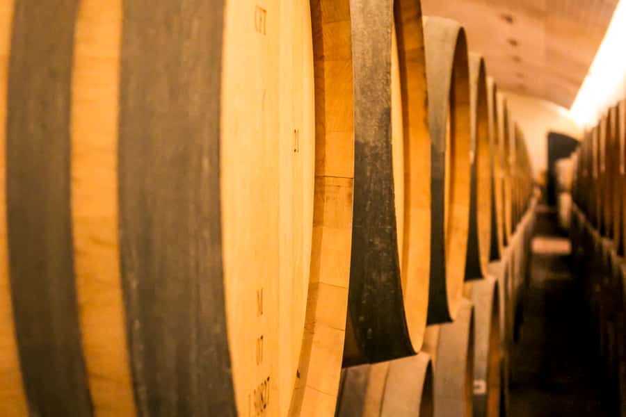 Santiago: Main Chilean Wineries Private Half-Day Tours - Is $290 per person good value?