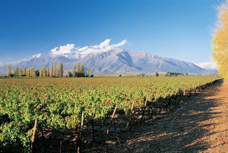 Santiago: Main Chilean Wineries Private Half-Day Tours - Practical details that affect your comfort