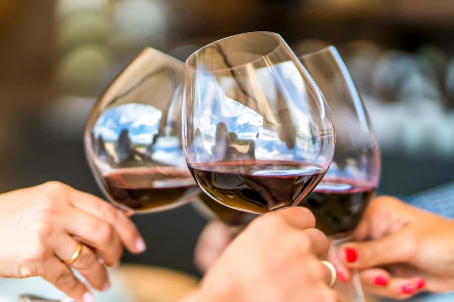 Santiago: Main Chilean Wineries Private Half-Day Tours - Who will enjoy this winery tour most?