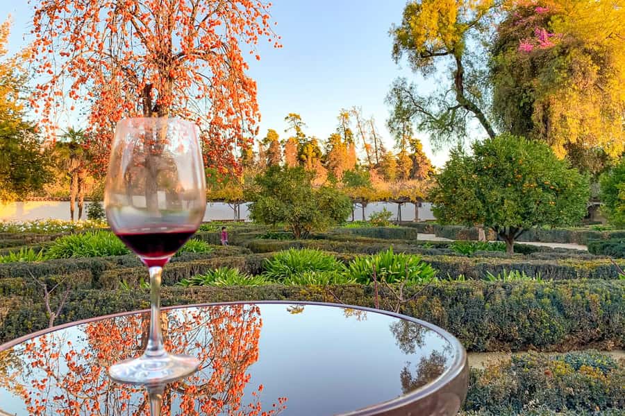Santiago: Main Chilean Wineries Private Half-Day Tours - What the tasting and lunch add to the day