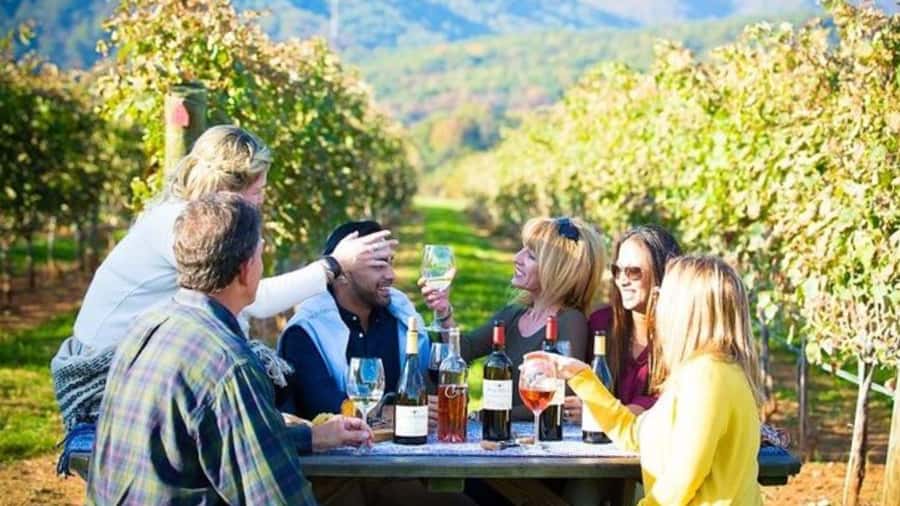 Santiago: Maipo Valley Wine Tasting Tour with 4 Vineyards - The early start and the road into Maipo Valley