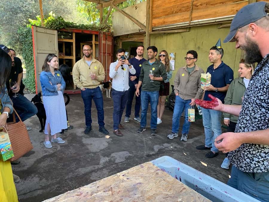 Santiago: Maipo Valley Wine Tasting Tour with 4 Vineyards - The guide can shape the whole day