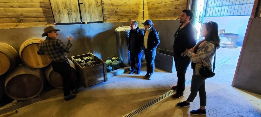 Santiago: Maipo Valley Wine Tasting Tour with 4 Vineyards - Timing, comfort, and the main drawbacks