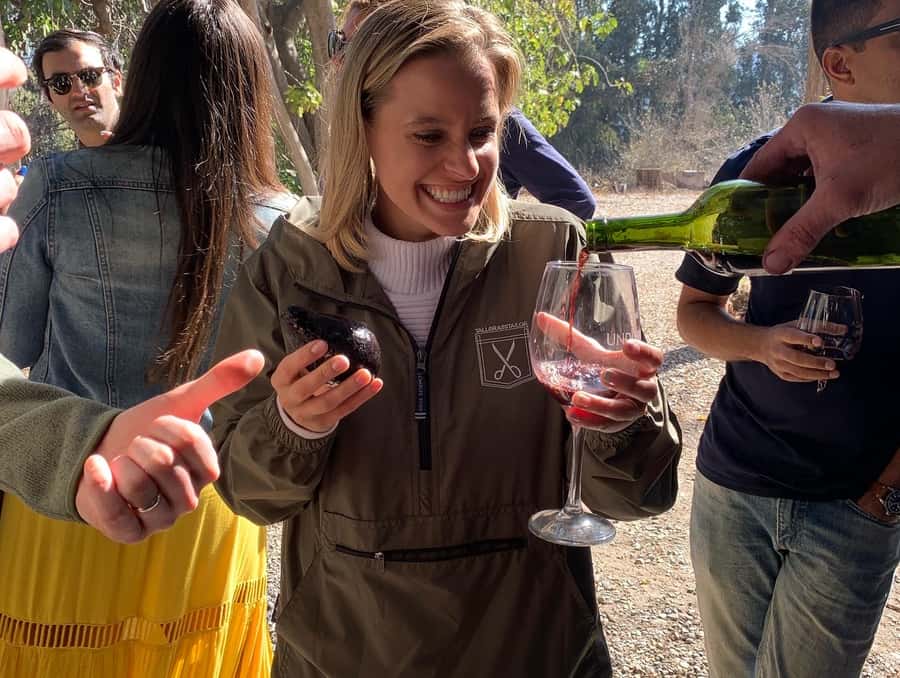 Santiago: Maipo Valley Wine Tasting Tour with 4 Vineyards - Campo La Quirinca brings wine down to earth