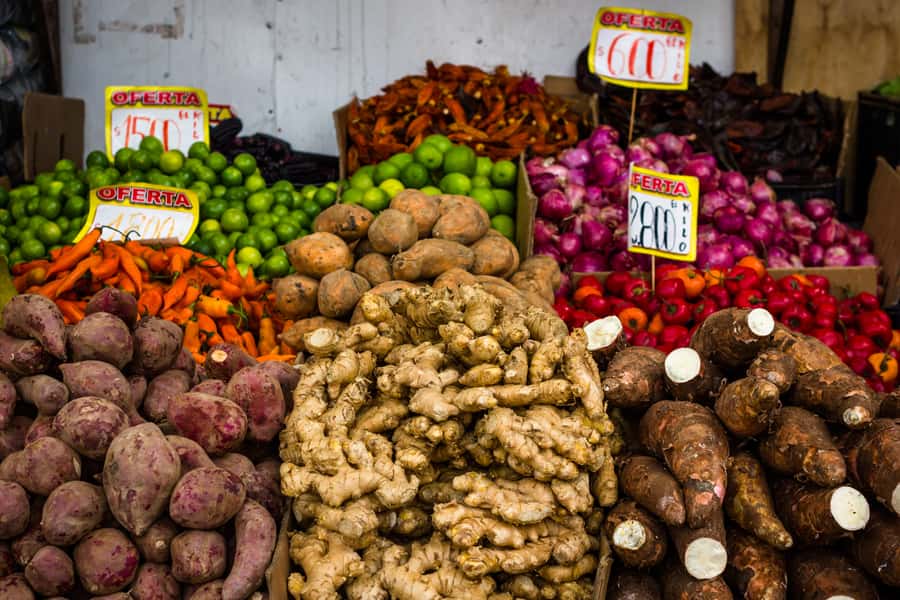 Santiago: Markets Bike Tour - Why This Route Works as a Santiago Introduction