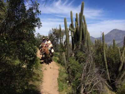 Private Andes Foothills Horseback Riding. Half day