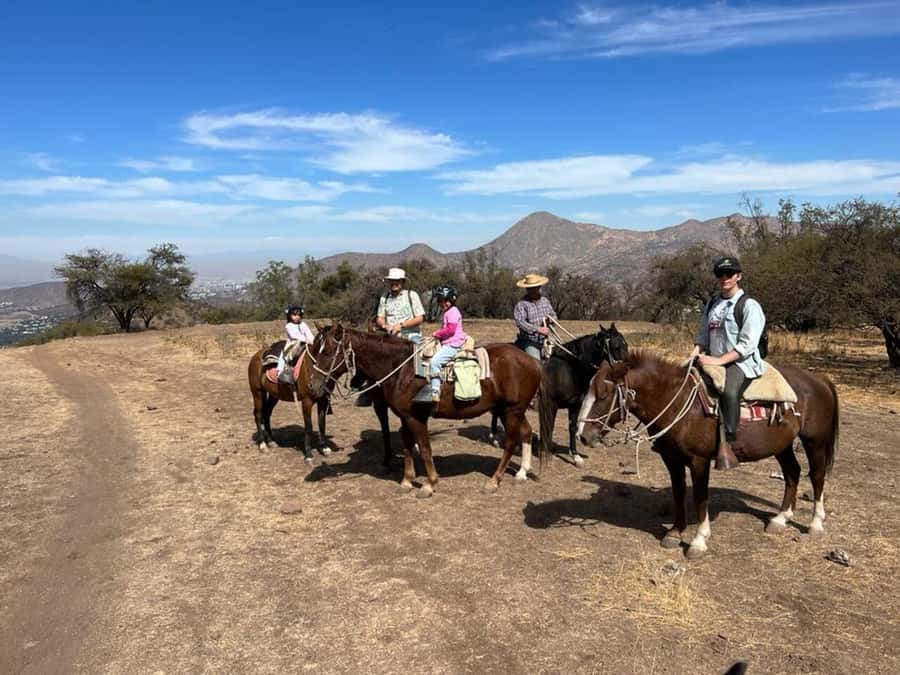Santiago: Private Andes Foothills Horseback Riding. Half day - Chilean horses, saddles, and guide attention