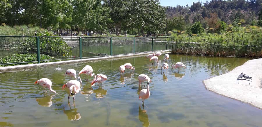 Santiago: Private Half-Day City Tour - Starting in Santiago with a private ride