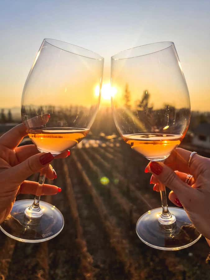 Santiago: Sunset at Vinicola Alyan Family - What is not included