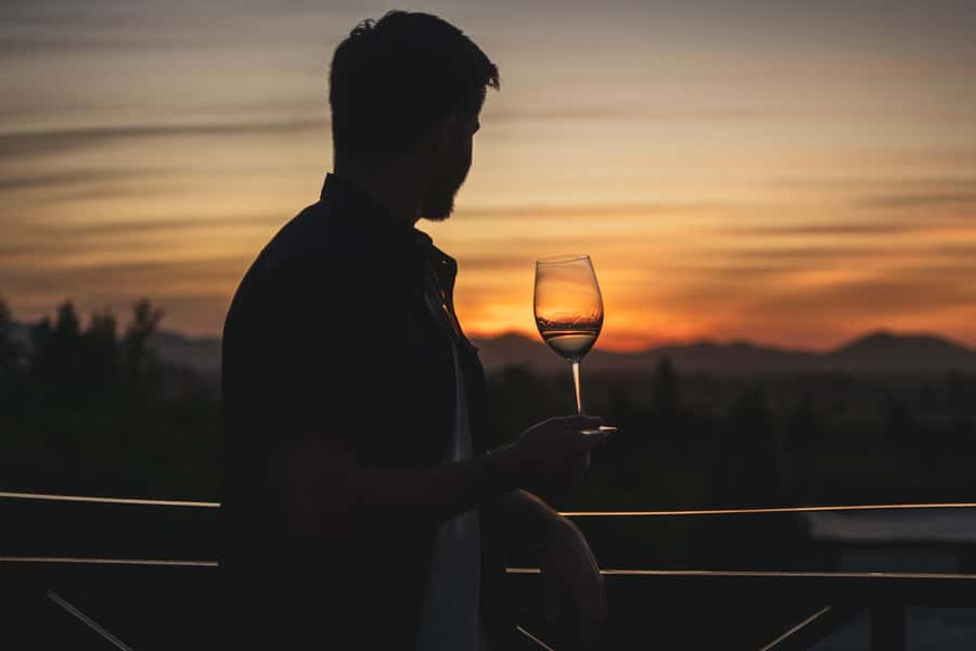 Santiago: Sunset at Vinicola Alyan Family - Flexible booking and practical limits
