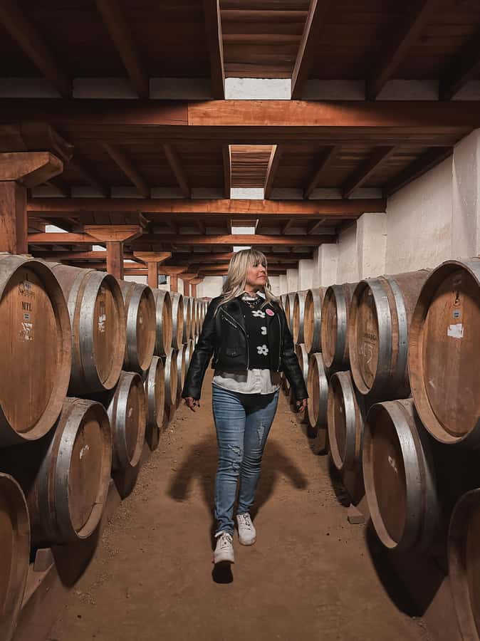 Santiago: Tour to Isla Negra, Algarrobo and Undurraga Wines - Isla Negra and Pablo Neruda’s house by the sea