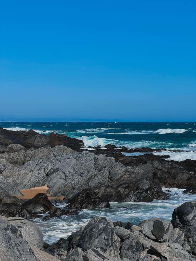 Santiago: Tour to Isla Negra, Algarrobo and Undurraga Wines - The road time and what it means for your day