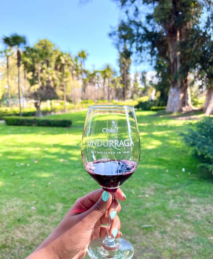 Santiago: Tour to Isla Negra, Algarrobo and Undurraga Wines - Practical advice for making the day easier