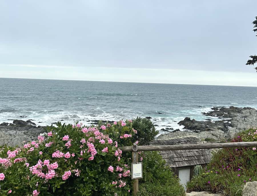 Santiago: Tour to Isla Negra, Algarrobo and Undurraga Wines - Should you book the Isla Negra, Algarrobo, and Undurraga day?