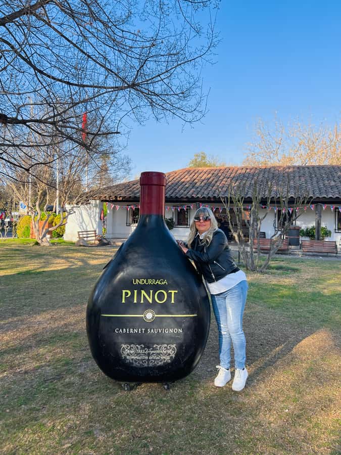 Santiago: Undurraga Winery Tour with Entry and Wine Tasting - From Santiago to Fundo Santa Ana