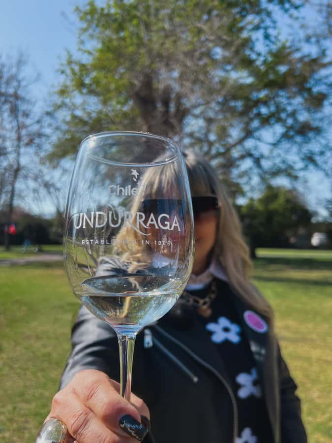 Santiago: Undurraga Winery Tour with Entry and Wine Tasting - Walking through the gardens and vines