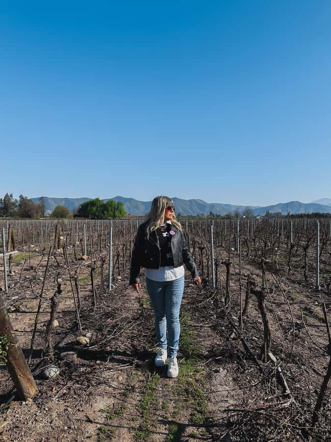 Santiago: Undurraga Winery Tour with Entry and Wine Tasting - Cellars, production, and the Mapuche People Museum