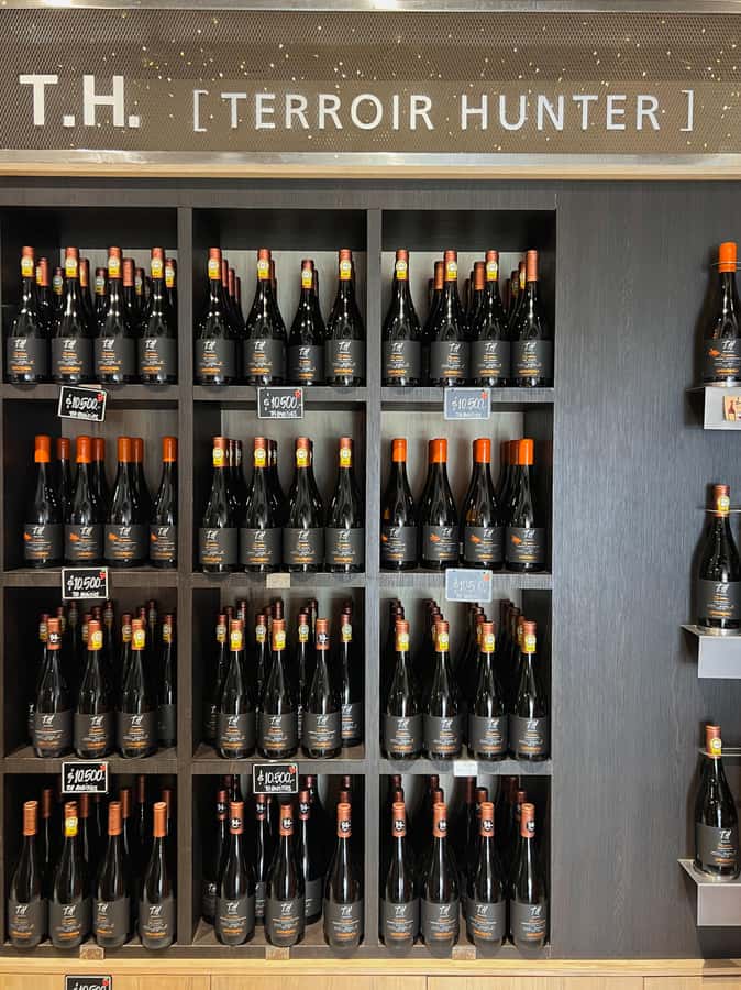 Santiago: Undurraga Winery Tour with Entry and Wine Tasting - Time in the wine shop