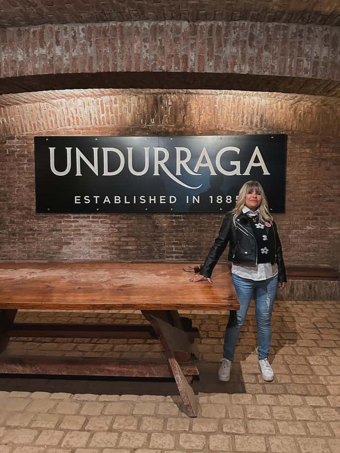 Santiago: Undurraga Winery Tour with Entry and Wine Tasting - Entering one of Chile’s old wine estates