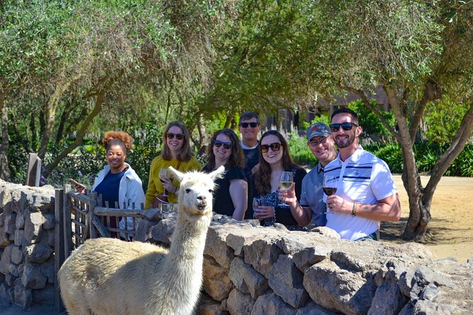 Santiago: Viña del Mar, Valparaiso & Casablanca Valley Tour - Should you book it?
