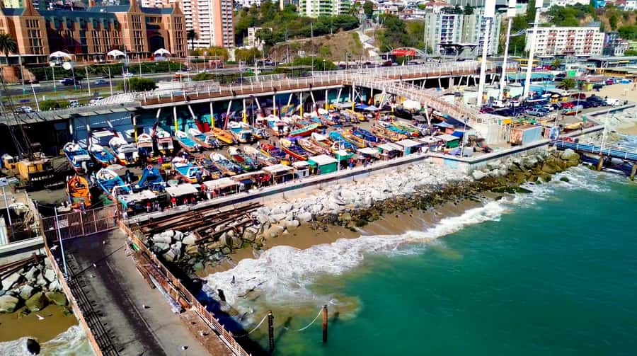 Santiago: Viña del Mar, Valparaiso, with Wine Tasting - Guide quality and group atmosphere